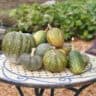 railway sleepers garden